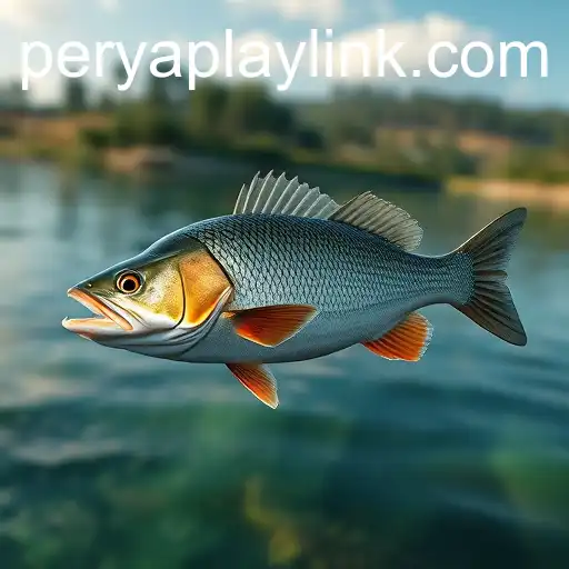 Exploring the Phenomenon of Online Fishing with PeryaPlay